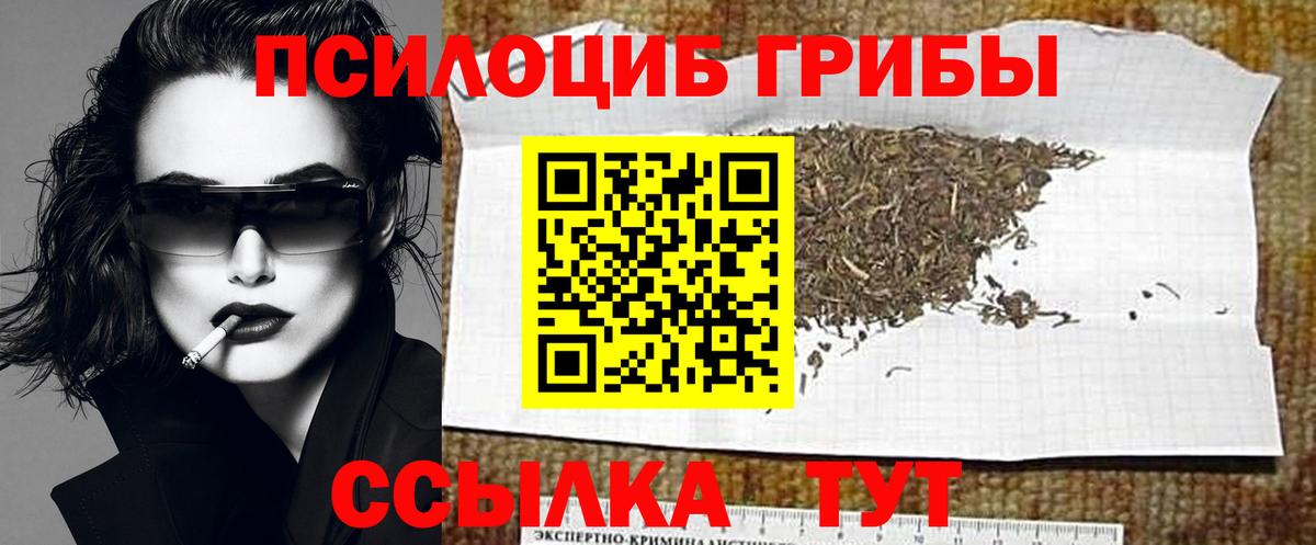 Галлюциногенные грибы Psilocybe  Вход с VPN  Кондопога  Галлюциногенные грибы Magic Shrooms 