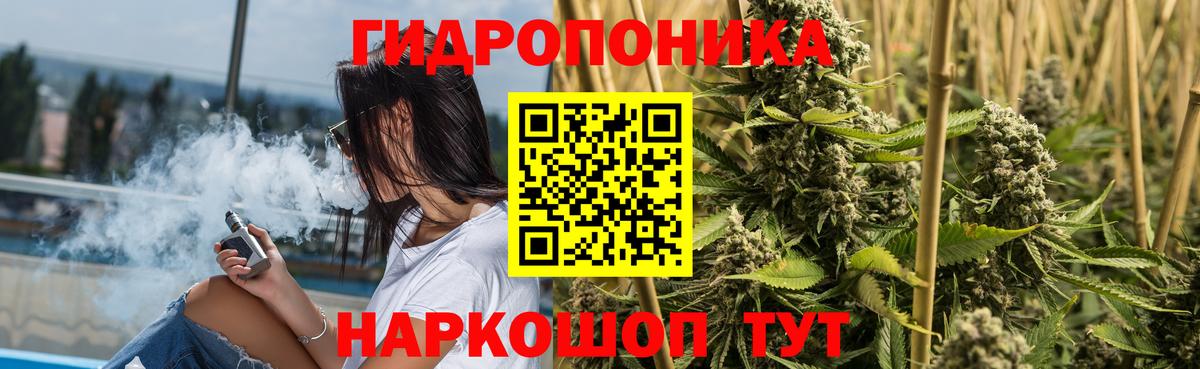 Бошки марихуана Amnesia  Марихуана SATIVA & INDICA  Вход с VPN  Конопля THC 21%  Кондопога 
